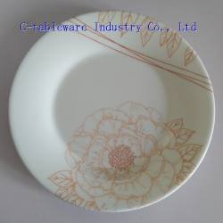 melamine plate 8.5